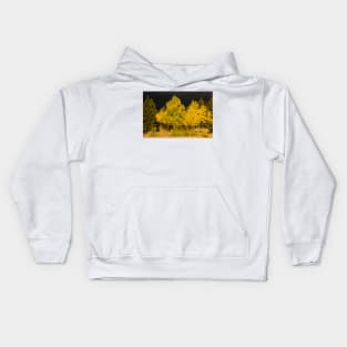 Colorado Storm Clouds Surround Gold Kids Hoodie